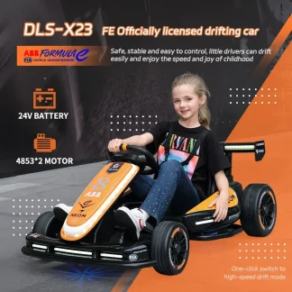 DLS-X23