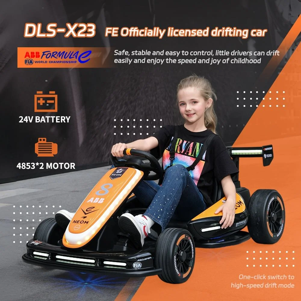DLS-X23